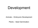 Development - Westford Academy Ap Bio