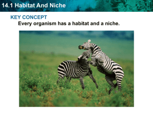 14.1 Habitat And Niche