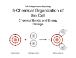 5-Chemical Organization of the Cell