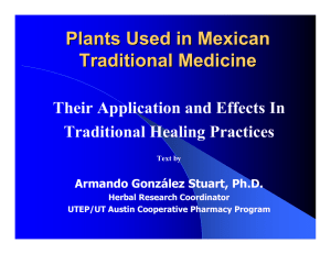 Plants Used in Mexican Traditional Medicine