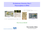 Evolutionary Genetics: Part 1 Polymorphism in DNA