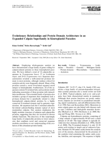 Evolutionary Relationships and Protein Domain Architecture in an