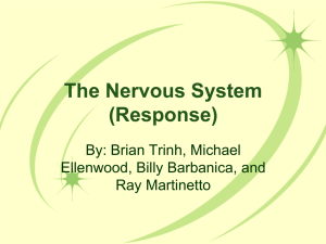 The Nervous System (Response)