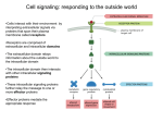 Cell signaling