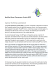 Modified Green Fluorescence Protein (GFP)