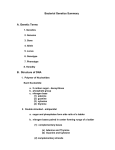 Bacterial Genetics Summary