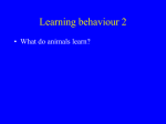 Lewis FT 1923 The significance of the term hippocampus. J Comp