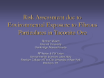 Risk Assessment due to Environmental Exposure to Fibrous