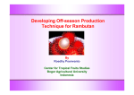 Developing Off-season Production Technique for Rambutan
