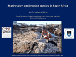 Marine alien and invasive species in South Africa