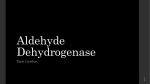 Aldehyde Dehydrogenase Presentation