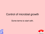 Ch 7 Control of Microbial Growth