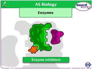 Boardworks Enzyme Inhibitors