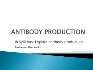 ANTIBODY PRODUCTION