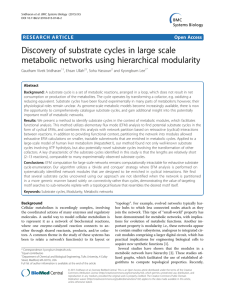 Discovery of substrate cycles in large scale metabolic networks