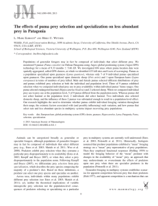 The effects of puma prey selection and specialization on less