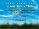 Direct and Indirect Impacts of Invasive Plants to Wildlife