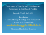 Overview of Corals and Hardbottom Resources in Southeast Florida
