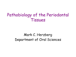Pathobiology of the Periodontal Tissues