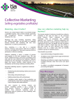 Collective Marketing
