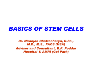 BASICS OF STEM CELLS