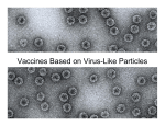 Use of virus-like particles for therapeutic vaccination