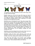 butterflies - Teaching.monster.com.