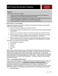 Work Process Documentation Guidelines Process Analysis