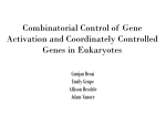 Combinatorial Control of Gene Activation and Coordinately
