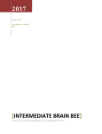 Intermediate Brain Bee - North South Foundation