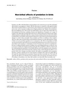 Non-lethal effects of predation in birds