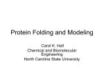 Protein Folding and Modeling