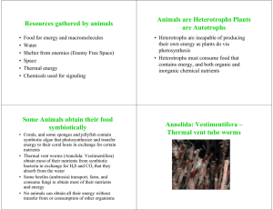 Resources gathered by animals Animals are Heterotrophs Plants