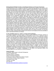 Studying Bacterial Biofilm Formation