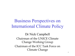 Business Perspectives on International Climate Policy