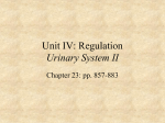 Regulation: Urinary System II
