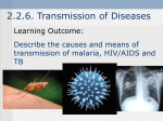 2.2.6. Transmission of Diseases