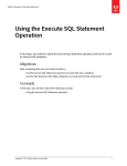 Using the Execute SQL Statement Operation