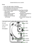 CHARACTERISTICS OF ALL PLANTS