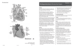 Discharge Instructions Following Heart Surgery