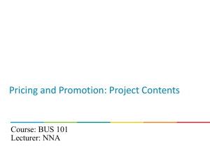 Pricing: Project Contents