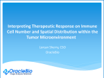 Evaluating and interpreting immunotherapy response within tumour