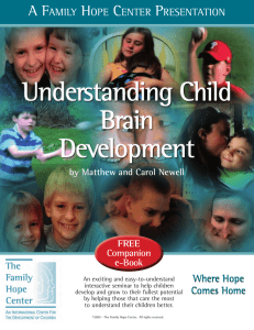 Understanding Child Brain Development