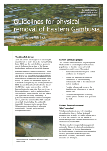 Guidelines for physical removal of Eastern Gambusia