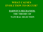 what causes evolution to occur?