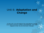 Unit 6: Adaptation and Change