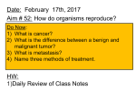 PowerPoint- Types of Reproduction