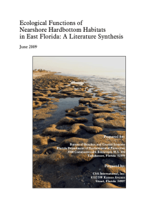 Ecological Functions of Nearshore Hardbottom Habitats in East