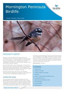 Mornington Peninsula Birdlife