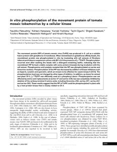 In vitro phosphorylation of the movement protein of tomato mosaic